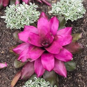 Meet your Posher, Jodi